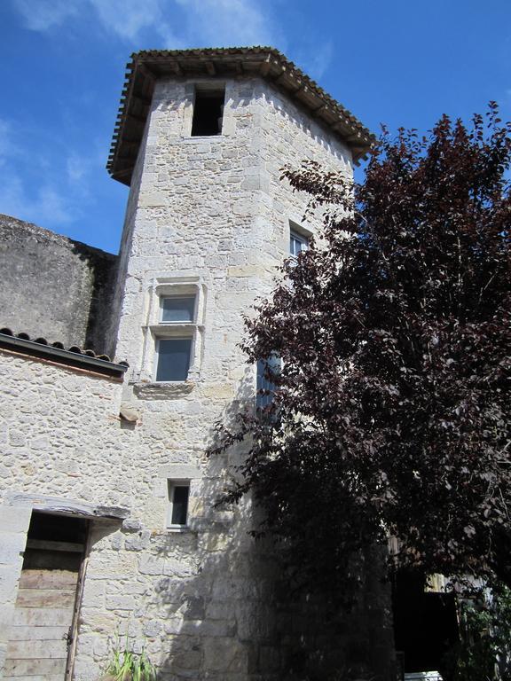 Chambre D'Hotes La Tour De Brazalem Nerac Ruang foto